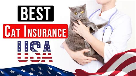 best insurance for cats.